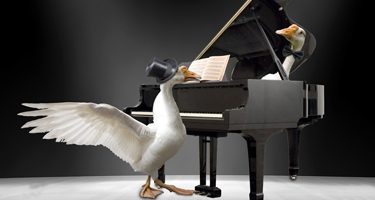 FESTIVAL DEI DUE MONDI, SPOLETO L′OCA DEL CAIRO – W. A. MOZART
